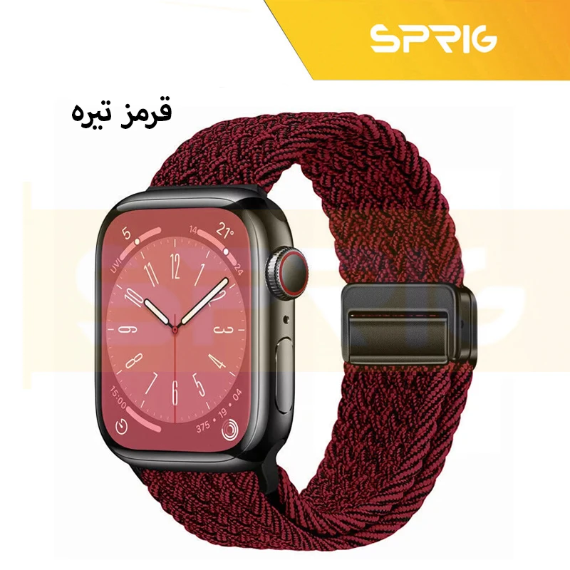 بند اسپریگ مدل Magnetic loop Braided مناسب برای اپل واچ سری SE2021/7/8/9 سایز 45 میلی متری