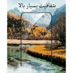 کاور مدل BLKN مناسب برای گوشی موبایل اپل iPhone XS به همراه محافظ صفحه نمایش - Image 21