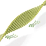 بند آکوآرا مدل Velcro Weave مناسب برای ساعت هوشمند هوآوی Fit 4 Pro - Image 13